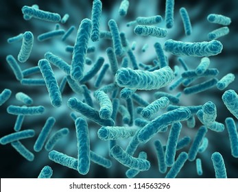 Bakterien, Virus, Zelle 3d