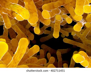 A Bacterial Colony, Bacilli, 3d Rendering