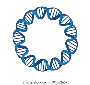A bacterial plasmid is a small DNA molecule which may be used in molecular cloning and gene therapy.