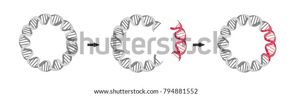 shutterstock
