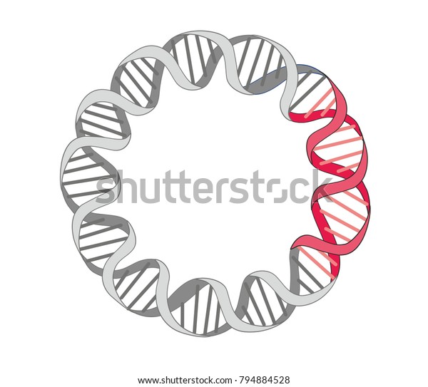 shutterstock
