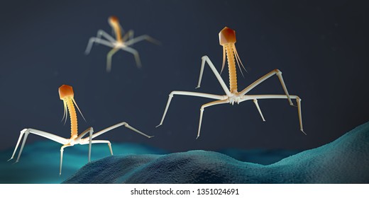 Bacteriophage Images, Stock Photos & Vectors | Shutterstock