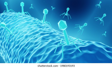 Bacteriophage Therapy, Drug-resistant Bacteria Treatment, Antibiotics Alternative 3d Illustration