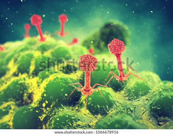 Bacteriophage viruses attacking bacteria, Infectious\
disease, 3d illustration\
