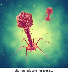 Bacteriophage Viruses , Infectious Disease , Phage Therapy , 3d Illustration