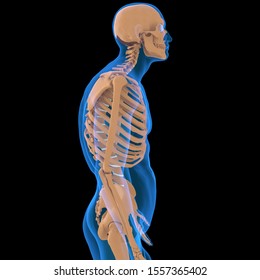 Bad Posture In The Spine