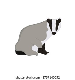 Badger Animal Cartoon Art Illustration