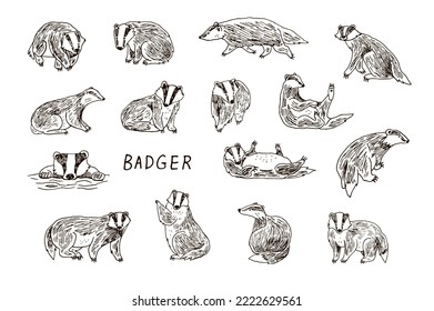 Badger Forest Animal Illustrations Set.