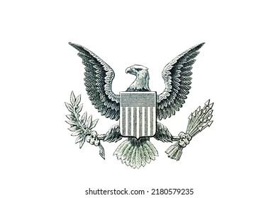 Águila calva. Imagen de un billete de un dólar o Gran Sello de los Estados Unidos. Águila con flechas y rama de olivo.Aislada sobre fondo blanco. Macro 