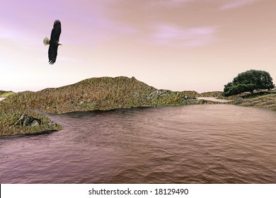 bald eagle over water