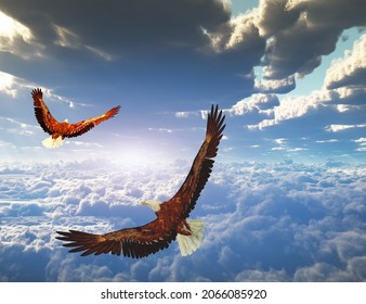 Bald eagles soar in the sky. 3D rendering.