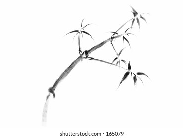 Bamboo - Shutterstock ID 165079