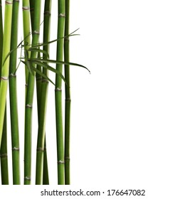 Bamboo Stock Illustration 176647082 | Shutterstock