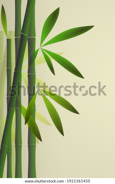 Bamboo\
background. Bamboo stem with leaves on pastel light background.\
Space for text, copy space. \
illustration