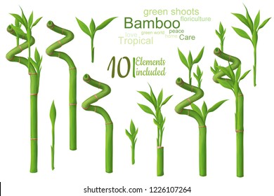 Bamboo Small Shoots Clip Art Kit Stock Illustration 1226107264 ...