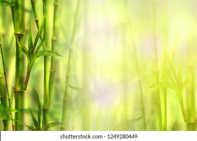 Bamboo spa background. Watercolor hand drawn green botanical illustration with space for text. Watercolour bamboos plants chinese oriental design. Forest border frame on blurred sunny bokeh background