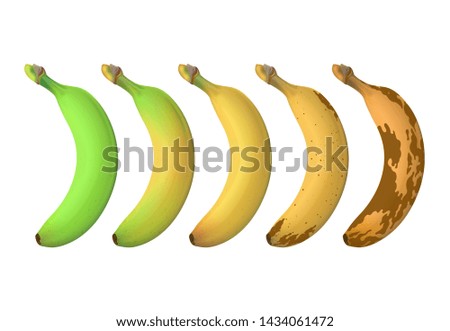 Similar – Image, Stock Photo banana skin Food Fruit