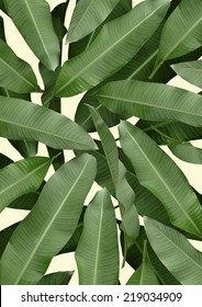 Banana Leaf Painting Effect