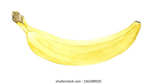 Banana In Watercolor