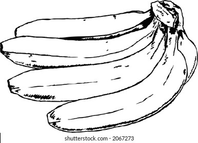 Bananas Stock Illustration 2067273 | Shutterstock