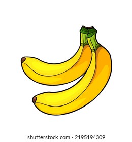 Bananas Are One Of The Most Popular Fruits In The World. Banana Picture