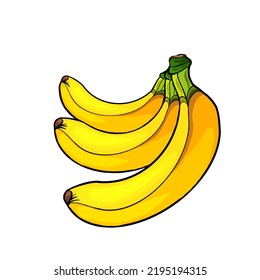 Bananas Are One Of The Most Popular Fruits In The World. Banana Picture