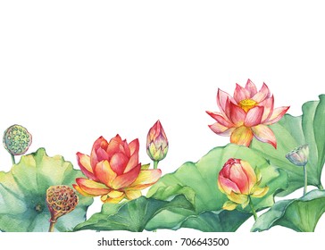 Lotus Flower Paintings 图片 库存照片和矢量图 Shutterstock