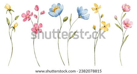 Banner border with watercolor wild flowers. Floral decoration. Hand drawing.