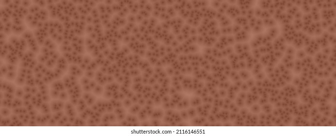 Banner Cell Pattern Of Cinnamon Stick Color. Random Pattern Background. Texture Cinnamon Stick Color Pattern Background.