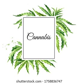 Banner or frame and border with cannabis hemp leaves, cannabis sativa, medicinal herb plant, marijuana. Hand drawn watercolor illustration isolated on white background
