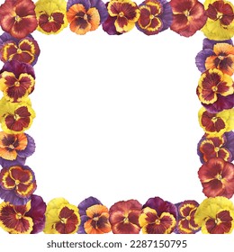 Banner  square frame  template and the garden pansy flower (viola arvensis  heartsease  violet  kiss  me  quick)  Watercolor hand drawn painting illustration isolated white