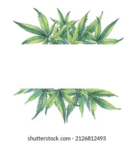 Banner, template with a green branch of Cannabis sativa (Cannabis indica, Marijuana) medicinal plant. Watercolor hand drawn painting illustration isolated on a white background.