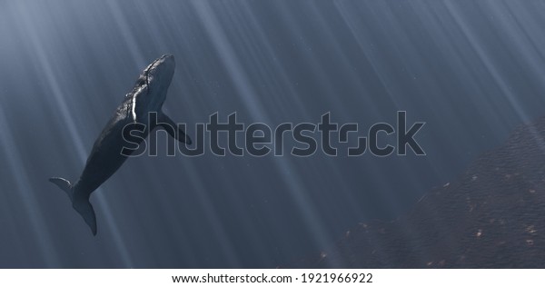 banner with a\
whale in the depth of the ocean and the sun rays falling from the\
surface. copyspace. 3d\
render