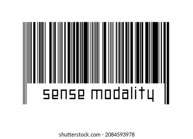 Barcode On White Background With Inscription Sense Modality Below. Concept Of Trading And Globalization