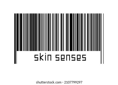 Barcode On White Background With Inscription Skin Senses Below. Concept Of Trading And Globalization