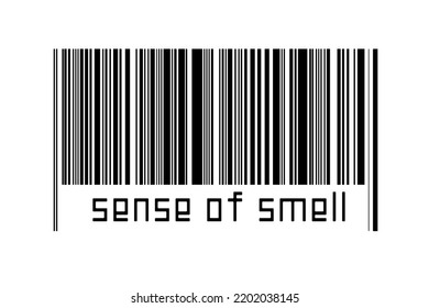 Barcode On White Background With Inscription Sense Of Smell Below. Concept Of Trading And Globalization