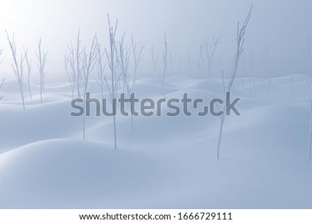 Similar – Image, Stock Photo Sunny winter spot