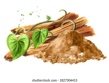 Bark and powder from medicinal plant Cats claw or Uncaria tomentosa with stem and flower, Watercolor hand drawn illustration isolated on white background