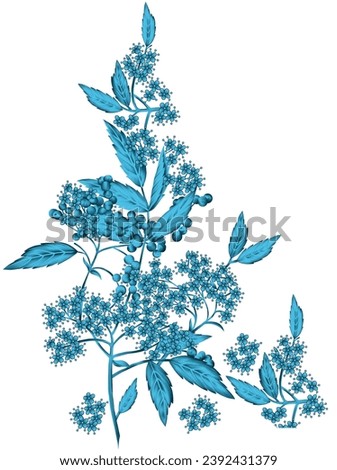 Baroque type flowers use for creative deisgn