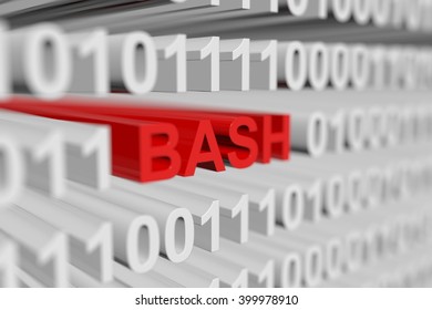 BASH in the form of a binary code with blurred background 3D illustration