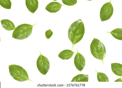 Basil leaves falling down with white background, 3D illustration - Shutterstock ID 1576761778