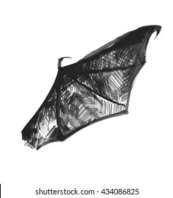 Bat Wing isolated on a white background. 