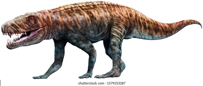 Batrachotomus From The Triassic Era 3D Illustration