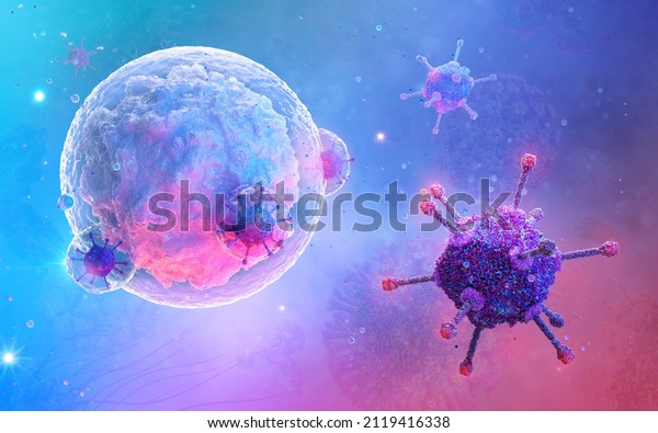B-cell, white blood cell 3D, type of\
lymphocyte interacting with a virus. Adaptive immune response,\
CAR-T cell therapy. B cell is humoral immunity component of the\
immune system producing\
antibodies