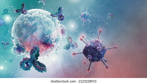 B-cell white blood cell, type of lymphocyte produce antibody molecules. B cell is humoral immunity component of the immune system producing antibodies, protect against pathogens: bacteria, viruses. 3D