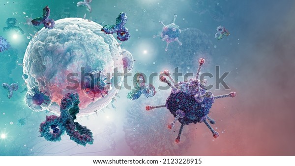 B-cell white blood cell, type of lymphocyte produce\
antibody molecules. B cell is humoral immunity component of the\
immune system producing antibodies, protect against pathogens:\
bacteria, viruses.\
3D