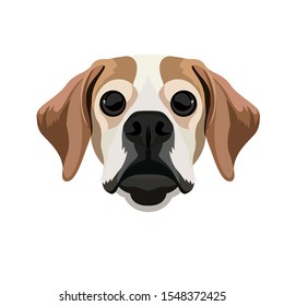 Beagle Cartoon Mascot Head Drawing Symmetrical Stock Illustration