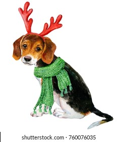 Beagle Dog With Christmas Deer Antlers And Scarf. Illustration Watercolor