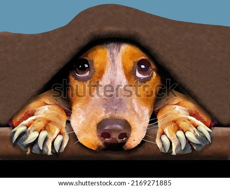 A beagle dog hides under a blanket knowing he will have to get a toenail trim soon. This is a 3-d illustration about caring for your dog's paws and nails. Photo stock © 