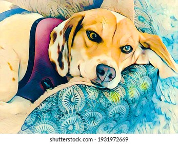 犬 ベット のイラスト素材 画像 ベクター画像 Shutterstock